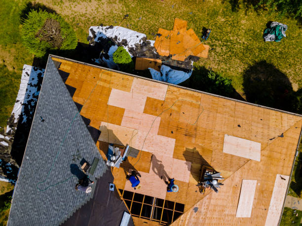 Best Roof Leak Repair  in Pomona Park, FL