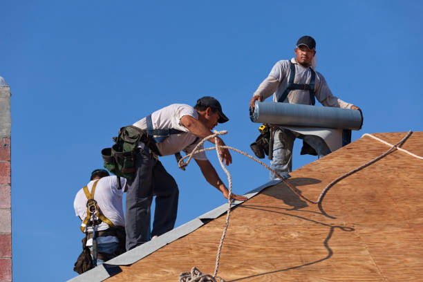 Best New Roof Installation  in Pomona Park, FL