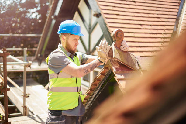 Best Roof Gutter Cleaning  in Pomona Park, FL
