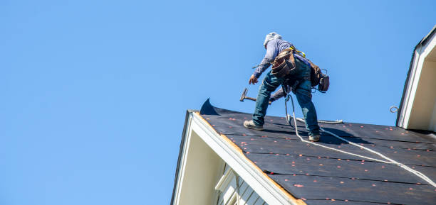 Best Shingle Roofing Installation  in Pomona Park, FL